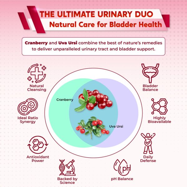 PeakPury Kidney Cleanse Detox - Image 4