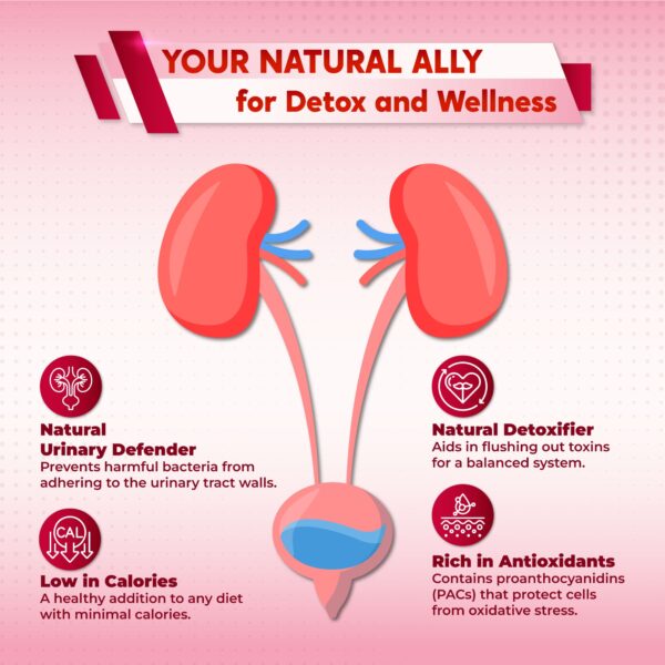 PeakPury Kidney Cleanse Detox - Image 5