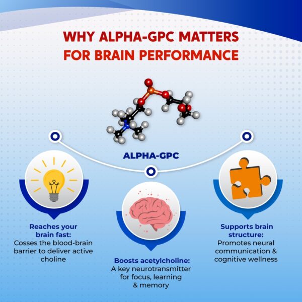PeakPury Alpha GPC - Image 5