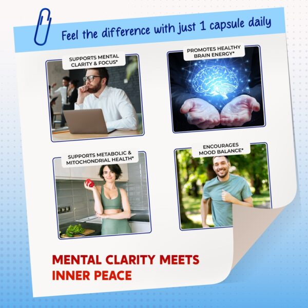 PeakPury Choline - Image 4