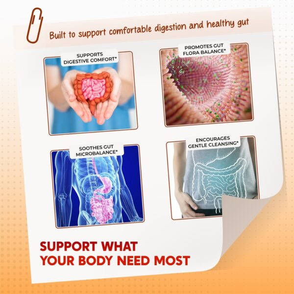 PeakPury Psyllium - Image 4