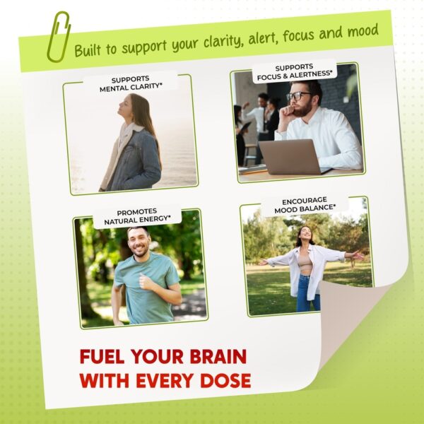 PeakPury Yerba Mate - Image 4