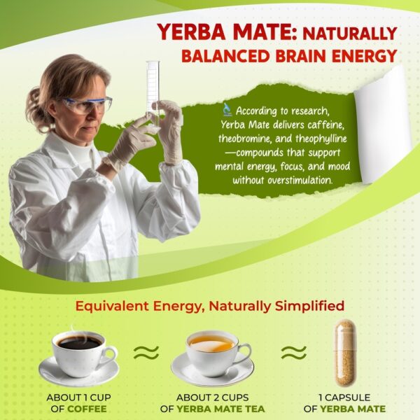PeakPury Yerba Mate - Image 5
