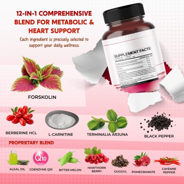 PeakPury Forskolin - Image 3