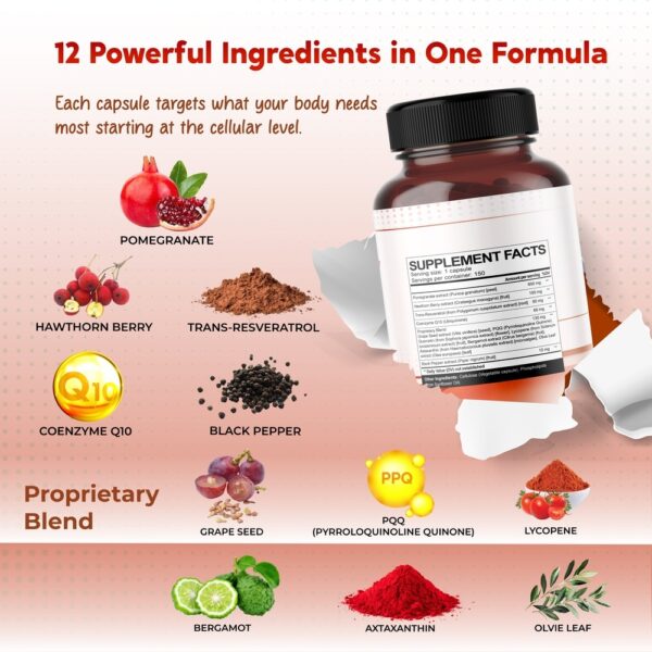 PeakPury Pomegranate - Image 3